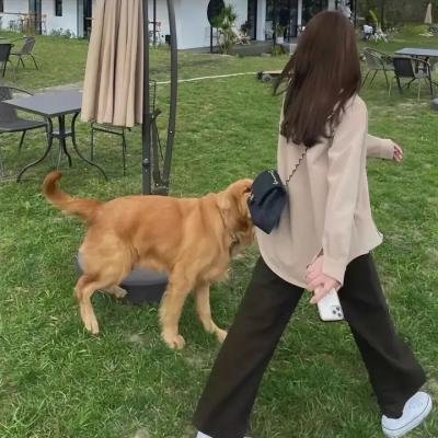 我是深渊